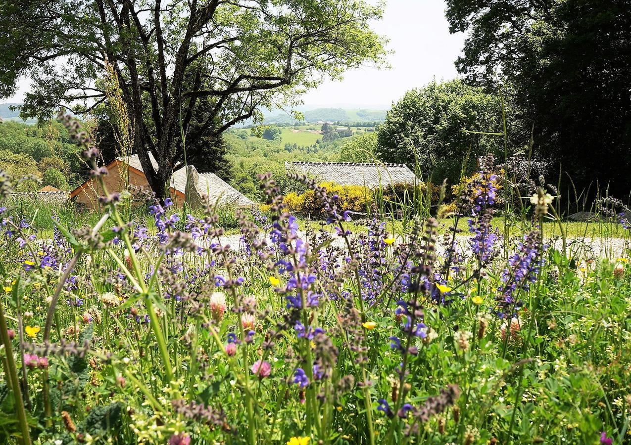 Domaine Des Marequiers Chambre Pimprenelle Saint-Germain-du-Teil 外观 照片