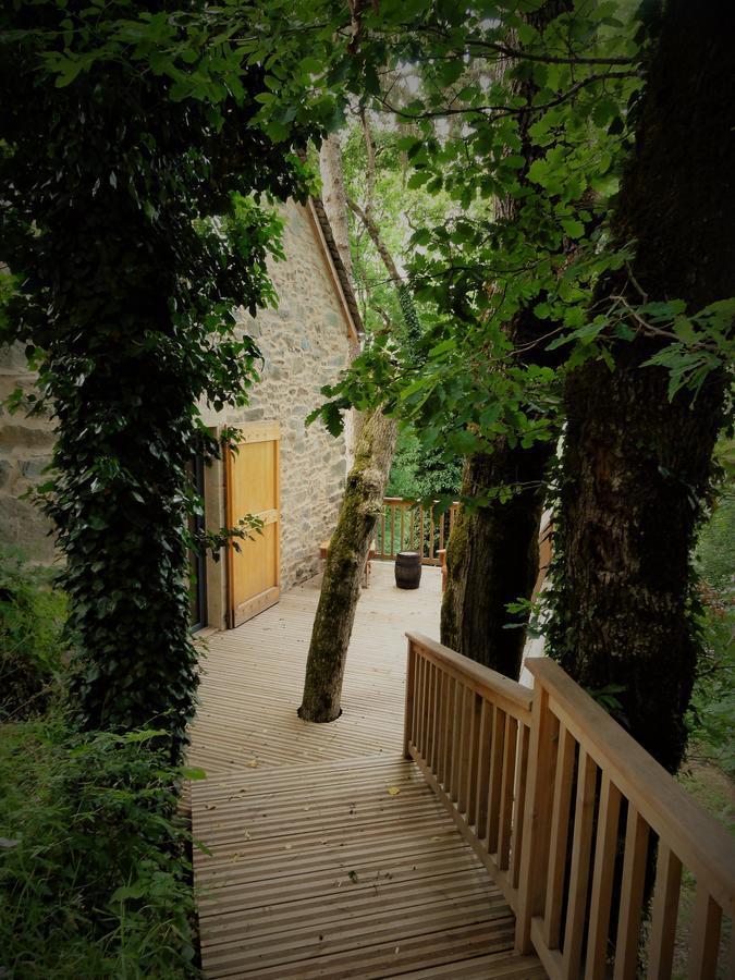 Domaine Des Marequiers Chambre Pimprenelle Saint-Germain-du-Teil 外观 照片