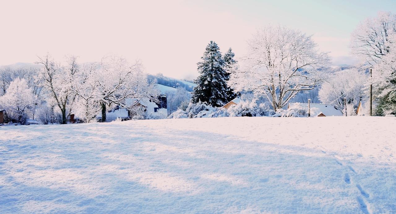 Domaine Des Marequiers Chambre Pimprenelle Saint-Germain-du-Teil 外观 照片