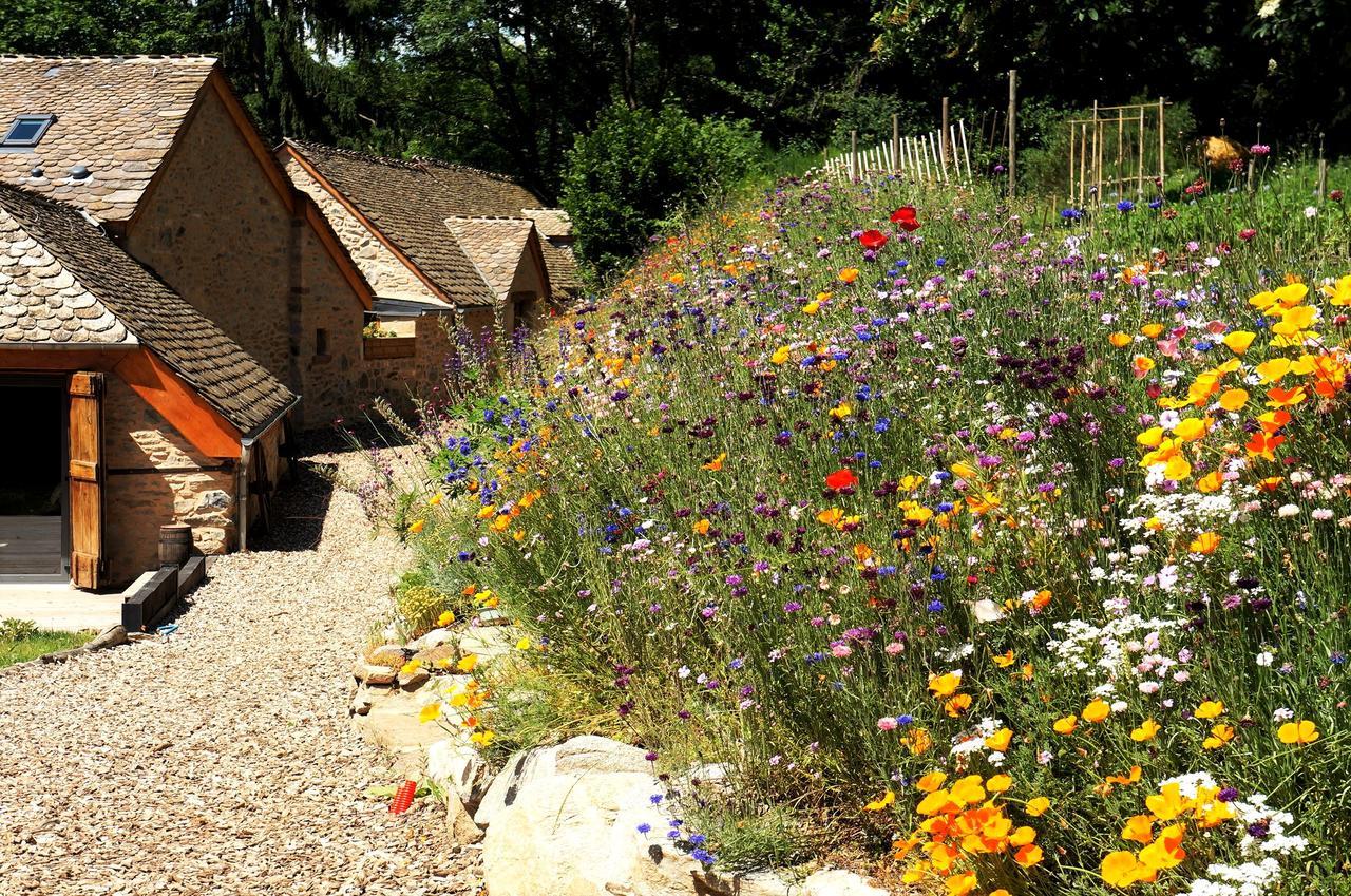 Domaine Des Marequiers Chambre Pimprenelle Saint-Germain-du-Teil 外观 照片