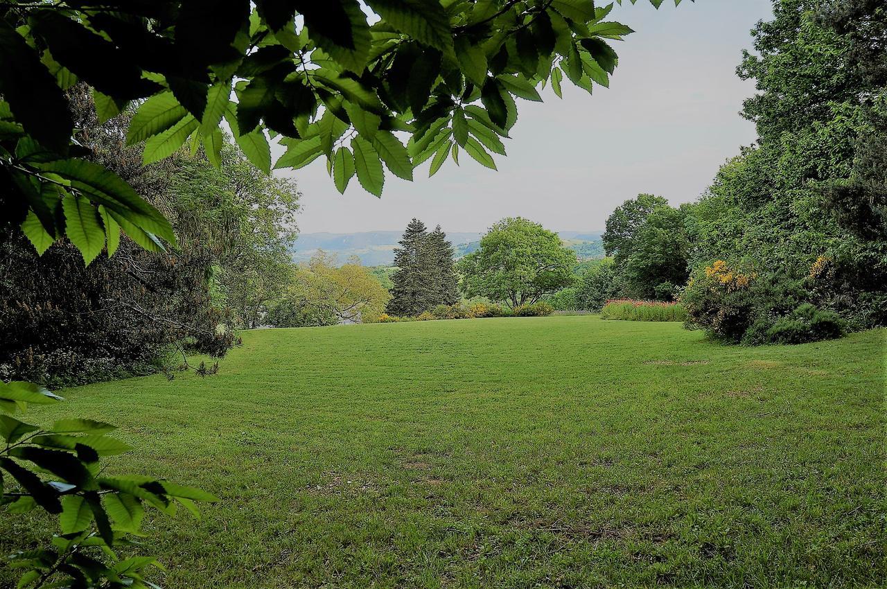 Domaine Des Marequiers Chambre Pimprenelle Saint-Germain-du-Teil 外观 照片